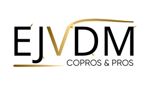 Logo EJVDM copropriétés et professionnels